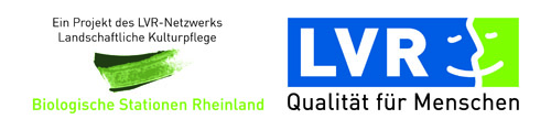 Foto: Logo des LVR-Netzwerkes