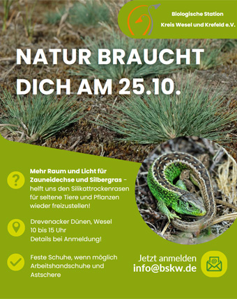 Mitmachtag 2025 Foto: Flyer Mitmachtag