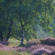 Foto: Kaninchenberge