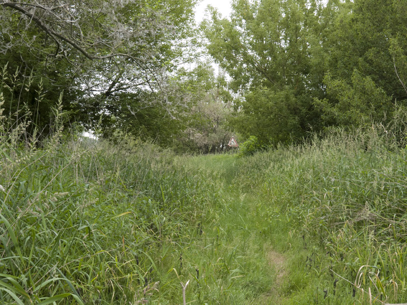 Foto: Entsiegelte Panzerstraße