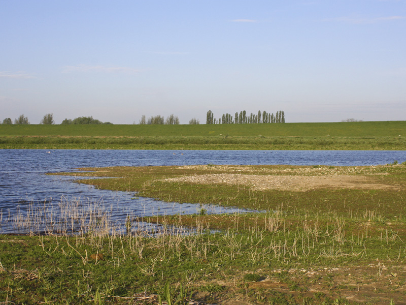 Foto: Freigestellt Gewässerufer