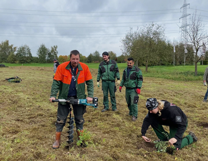 Foto: Pflanzung von Großen Wiesenköpfen